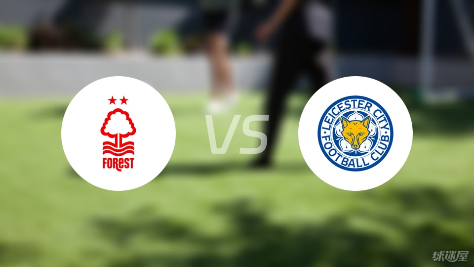 法比奥晒照：仔细看我受伤的右膝，你就知道我们队付出了一切